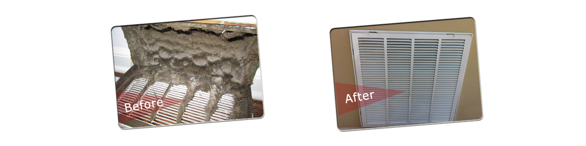 Before and After Cleaning